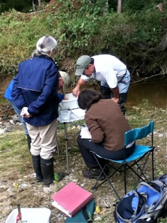 3 - (Clockwise from left) Becky, Alan, Derek, and Torre identify macroinvertebrates